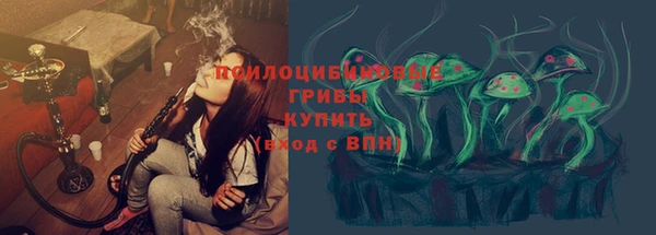 прущие грибы Арсеньев