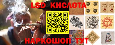 spice Бузулук