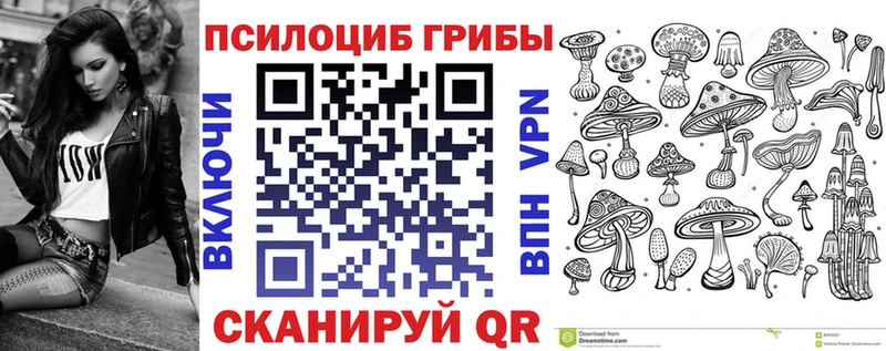 наркота  Баксан  Псилоцибиновые грибы MAGIC MUSHROOMS 
